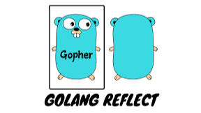 go 反射